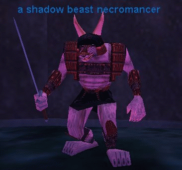 a shadow beast necromancer