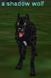 a shadow wolf