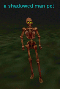 a shadowed man pet