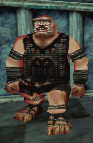 a shadowknight (Ogre)