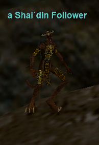 a Shai`din Follower