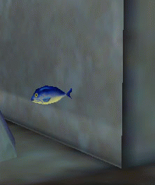 a shimmering sailfin