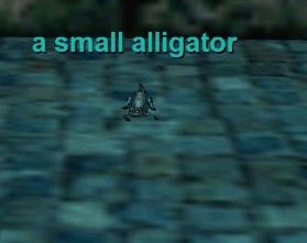 a small alligator