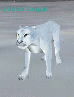 a snow cougar