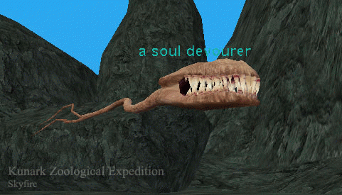 Npc a soul devourer.png