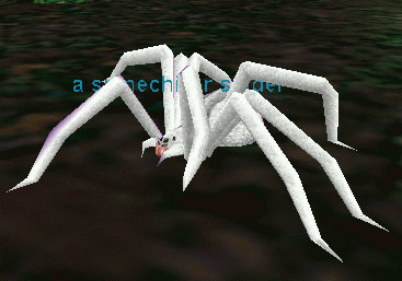 a spinechiller spider
