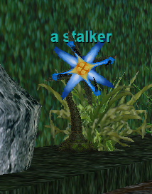 a stalker