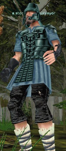 a storm giant surveyor