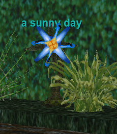 a sunny day