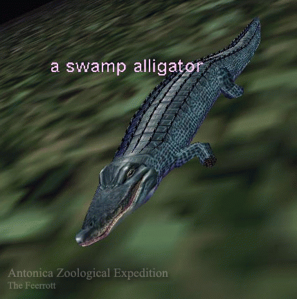 Npc a swamp alligator.png