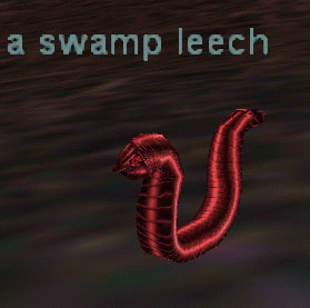 a swamp leech