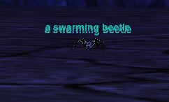 a swarming beetle