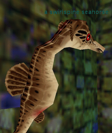 a swirlspine seahorse