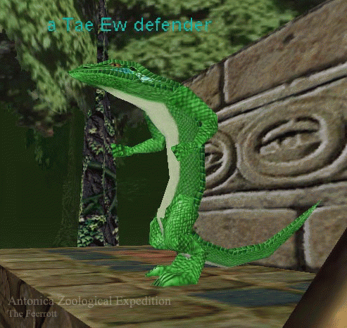 a Tae Ew defender