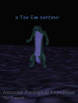 a Tae Ew sentinel