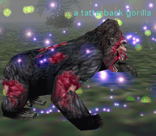 a tatterback gorilla