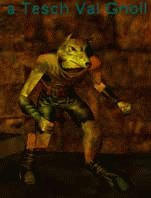 a Tesch Val Gnoll