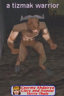 a tizmak warrior