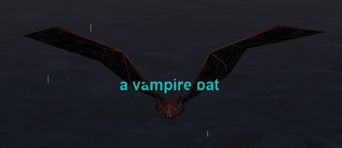 a vampire bat
