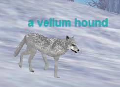 a velium hound