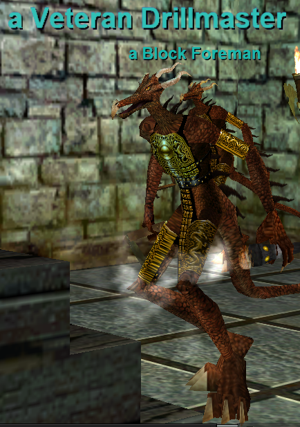 a Veteran Drillmaster