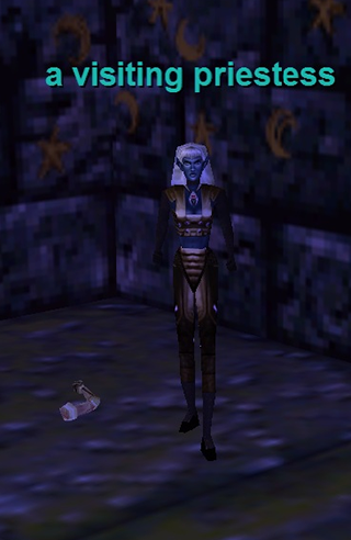 a visiting priestess