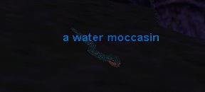 a water moccasin