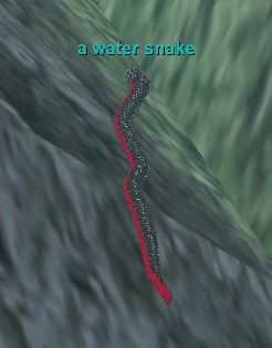 a water snake