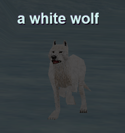 a white wolf