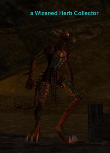 a Wizened Herb Collector