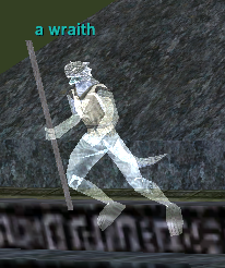 a wraith