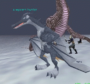 A wyvern hunter