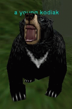 a young kodiak