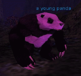 a young panda