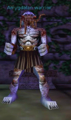 Amygdalan warrior