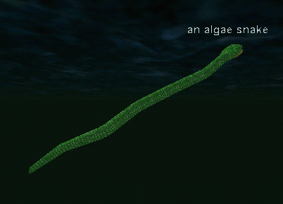 an algae snake