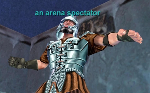 an arena spectator