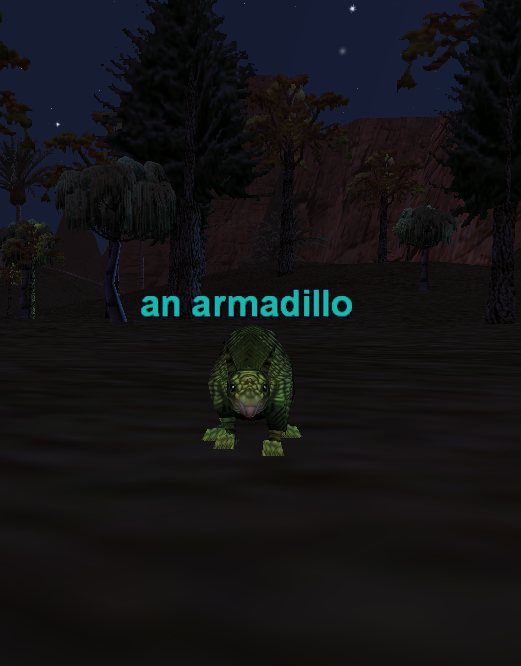 an armadillo