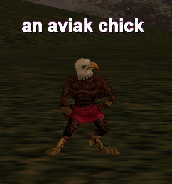 an aviak chick