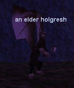 an elder holgresh
