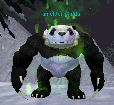 an elder panda