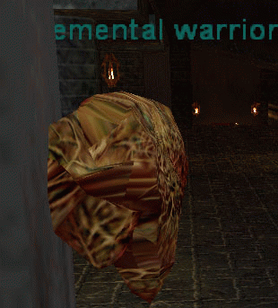an elemental warrior