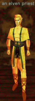 an elven priest