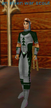 an elven war scout