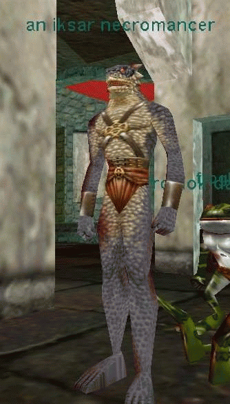 An Iksar Necromancer