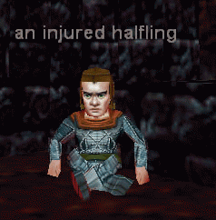 an injured halfling