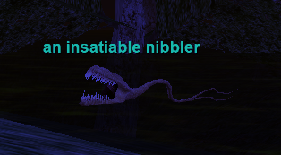 an insatiable nibbler