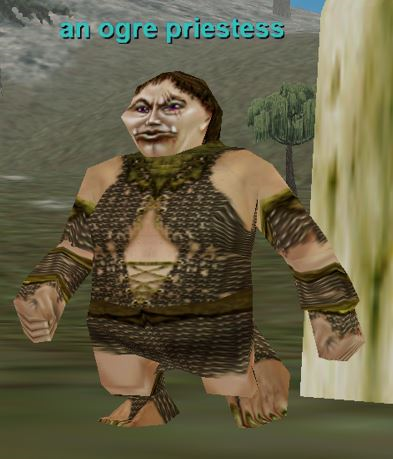an ogre priestess