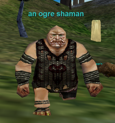an ogre shaman