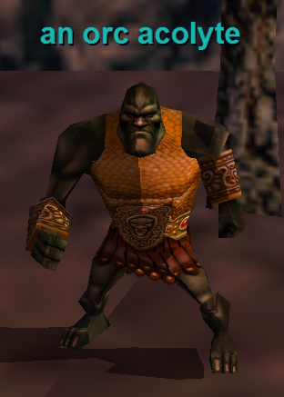 an orc acolyte